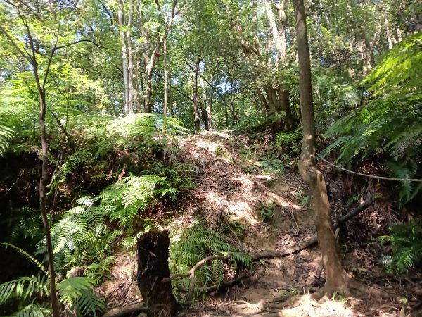 汐止區金明山B線+如意湖O型2860235