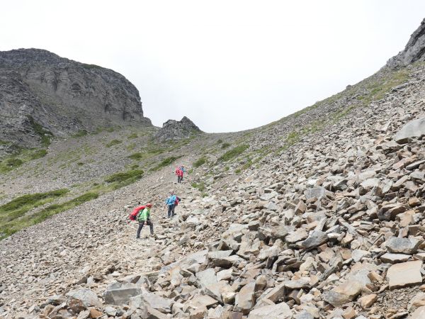 雪主東下翠池山屋155482