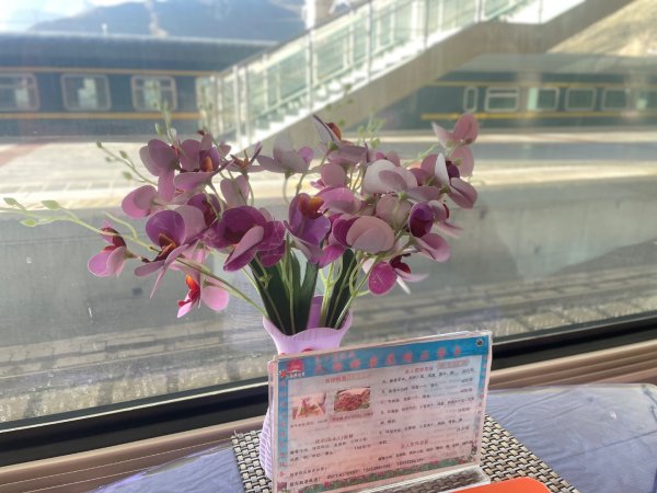 川藏-世界最高海拔💙青藏鐵路/拉薩-西寧/北京-四川住宿飯店2903359