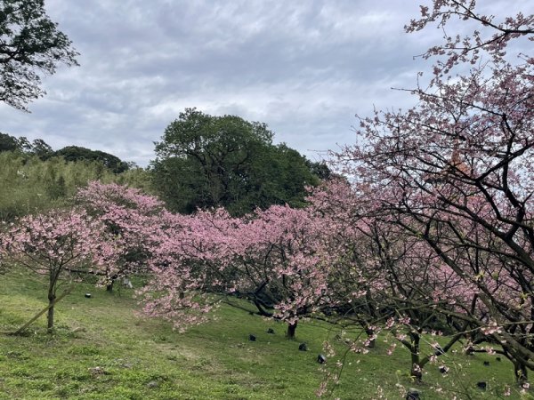山仔頂步道2708428