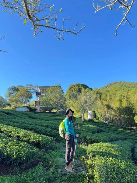 20251117樟空崙步道挑竹古道3號 六連峰O繞2939642