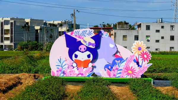 富岡仙草花2942408