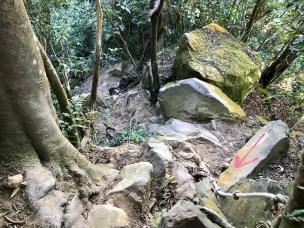 五寮尖上大風狂448898