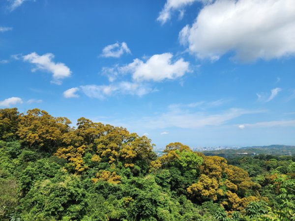 新竹芎林｜飛鳳山×石壁潭山｜飛石步道南線下切至觀日坪古道1800m入口3045974