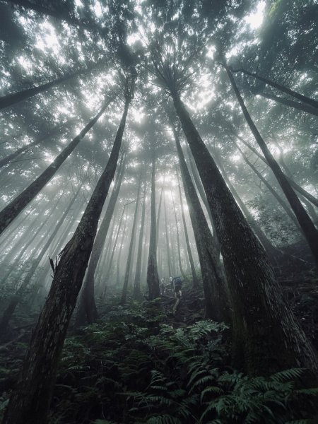 油羅山 2025 09/13