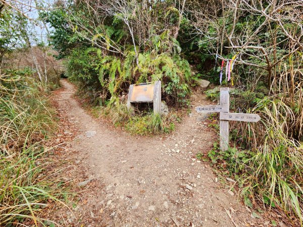 小百岳集起來-李崠山2183100