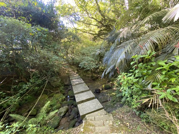 2025微笑山線大縱走尋寶集章任務-Ep.10【五分山系】菁桐煤礦段｜石筍尖 ×2914462