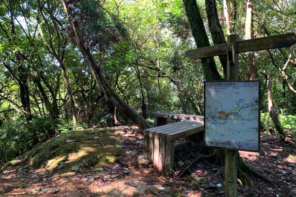 新北平溪｜嶺腳寮登山步道｜拜訪孤獨車站．親近仙氣滿載的望古瀑布1574428