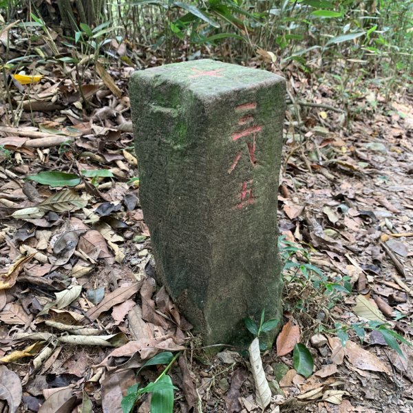 20260523高雄尾寮山連峰(第25刷)3065391