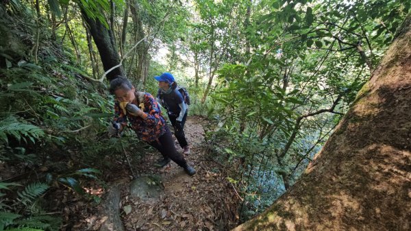 烏桶縱走(烏來山→大桶山)忠治出全紀錄2915218