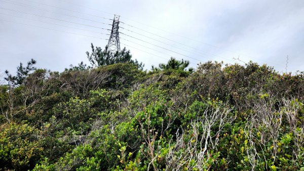 大砲岩，石壇山，大屯溪古道，三板橋，白雞山，雞罩山，石門內尖山，中和外員山，中坑山東北峰2019374