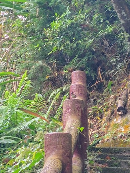 鳳鳴古道 鳳鳴山 南隘勇（南長城）古道 三湖山 八達嶺（龍骨）古道 綠色古道 延平古道2975275