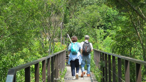 《南投》峰峰相連｜草屯九九峰森林步道O型202509062879287