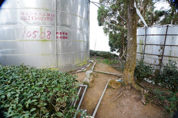 南投 鹿谷 大崙頭山、貓冬望山、樟空倫山、志騰山、竹崙山2993357