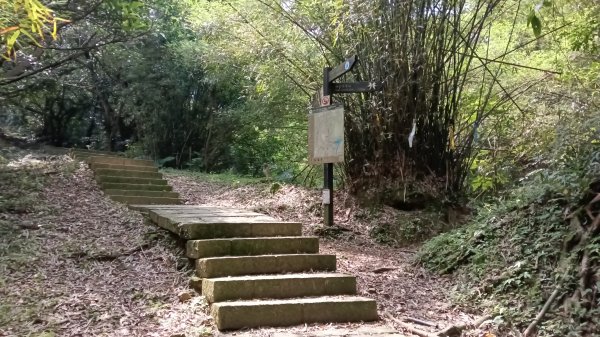 瑞芳區琉榔路觀光步道-小粗坑古道(小粗坑山+粗坑口山)3053288