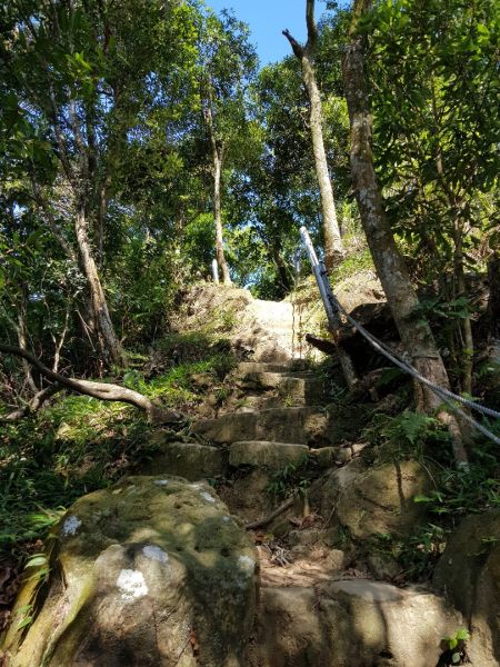 2018.07.16 土城三粒半、天上山408513