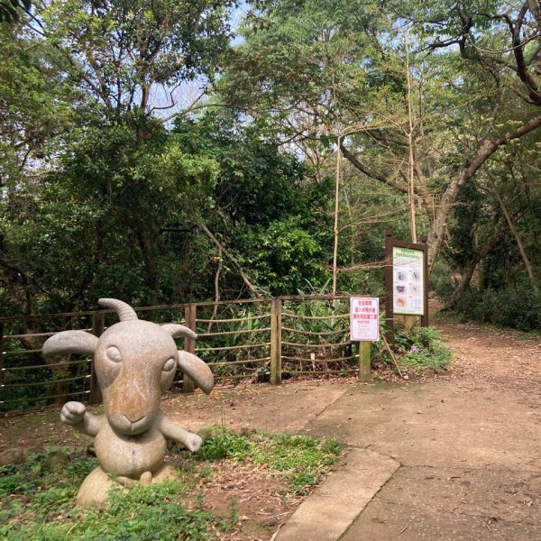 【桃園-臺灣百大必訪步道】春遊桃園蘆竹羊稠森林步道1655570