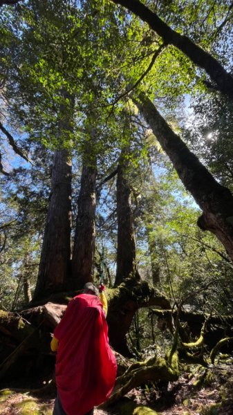 塔魔巴2天1夜來回/復興尖-四稜溫泉2357254