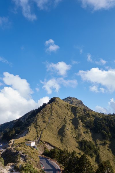 石門山金黃草原1385959