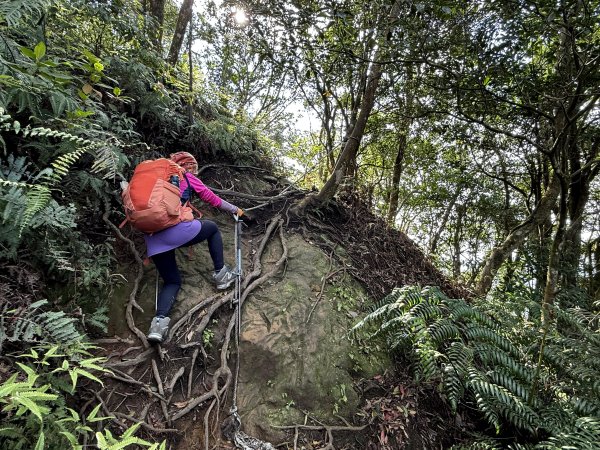 金面山-202503192770609