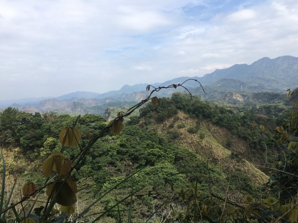 霧峰桐林山(701峰)登山照片858459