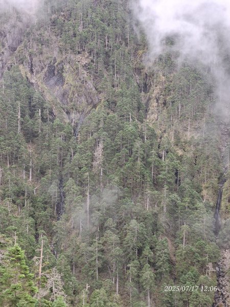 2025.07.17 夏季單登玉山主峰西峰2842679