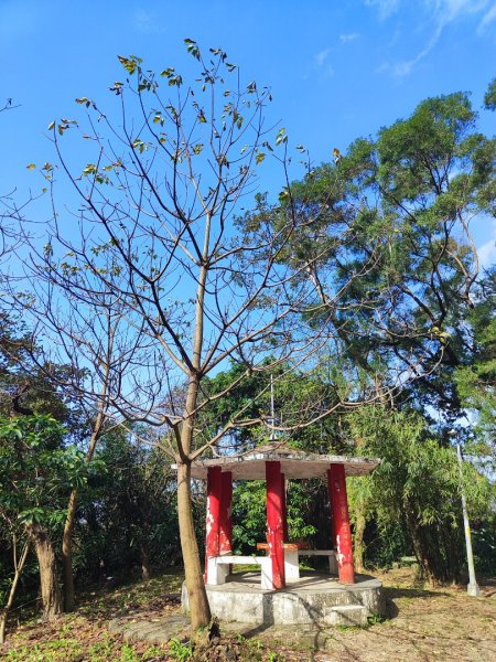 汐止大尖山-秀峰瀑布2684776