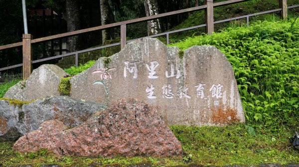 阿里山森遊區-祝山,對高岳步道2537075