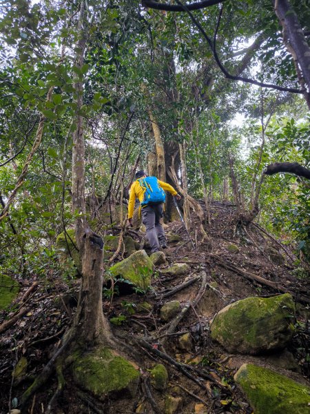 2025-03-08 汶水三山：金童山、汶水山、玉女山 連走2736523