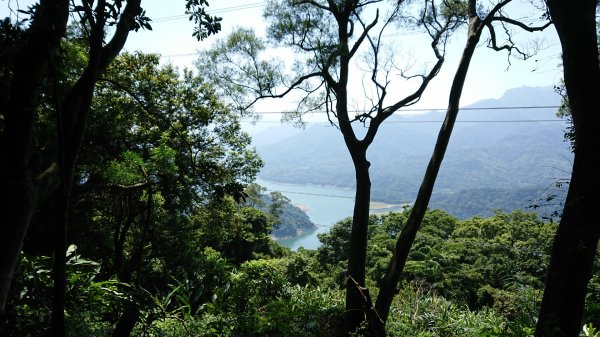 桃園溪洲山 ，熱鬧的小百岳1099796