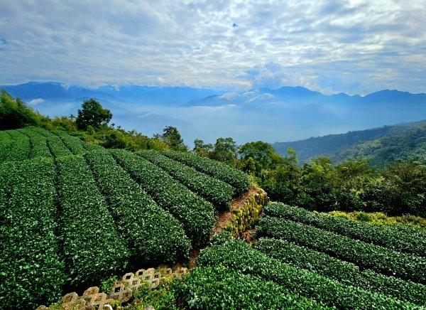 挑筍古道(大尖山、後棟仔山步道)--(雲林)臺灣百大必訪步道2955753