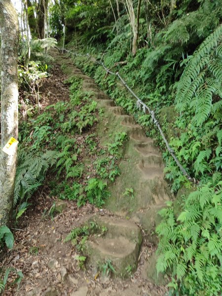 微笑山線：【二格山系】筆架連峰段2920960
