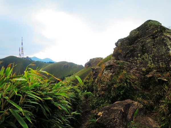 台北抹茶山：登小觀音山群峰眺望全台最大火山口2422029