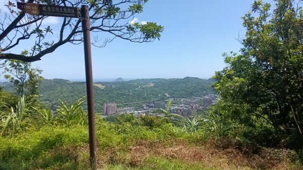 基隆市暖暖車站-暖壽山-暖東苗圃-頂寮山-清法戰爭砲台遺址-碇內3091329