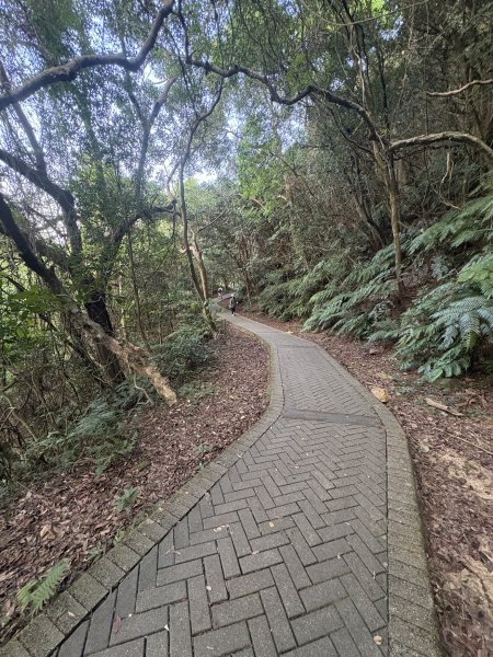 2025.10.12.碧溪_長壽坡_翠山步道2911524