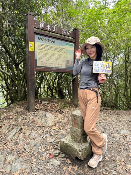 鳶嘴山-稍來山O型縱走(中級山 / 小百岳) 刺激攀岩。山嵐繚繞。傳神小象。杉樹林群。2583548