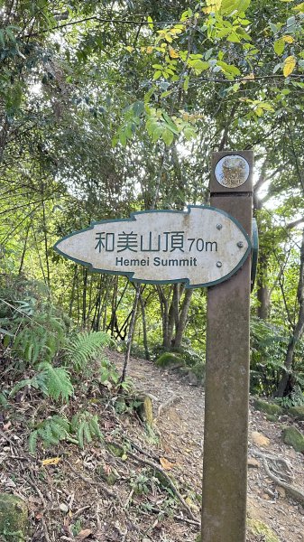 秋高氣爽の的健行 新店和美山2328164