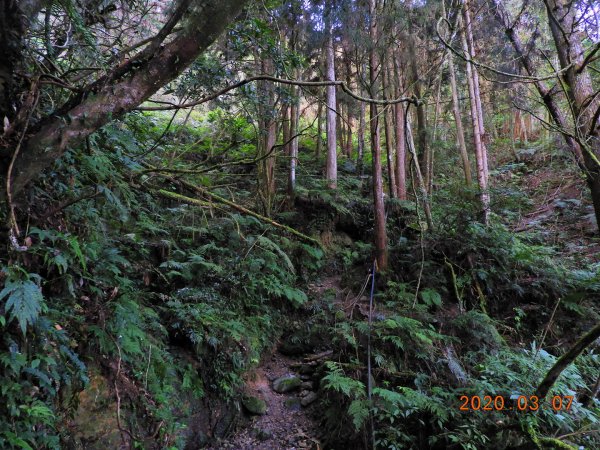 新竹 五峰 民都有山(面托油山)869207