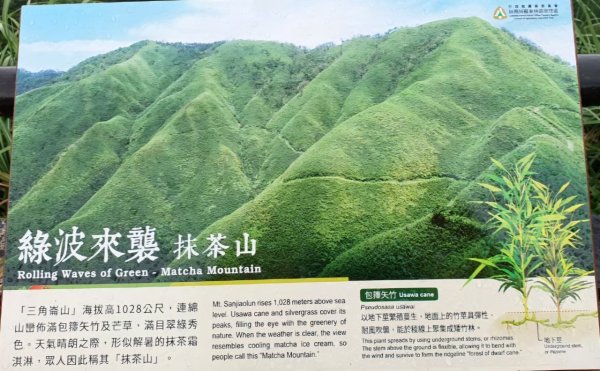 【中級山】宜蘭抹茶山（三角崙山），聖母登山步道，五峰旗瀑布2741060
