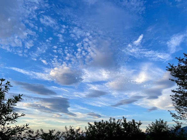【油羅山/露營】 仙境舒活健走，雲端徜徉野趣！2887860