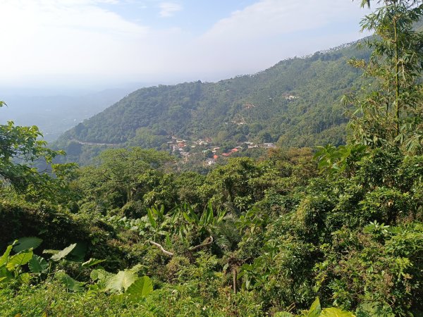 嘉義獨立山2983731