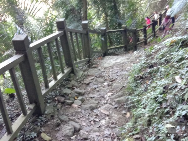  步道巡訪員 l 崁頭山步道12月份巡禮1204923