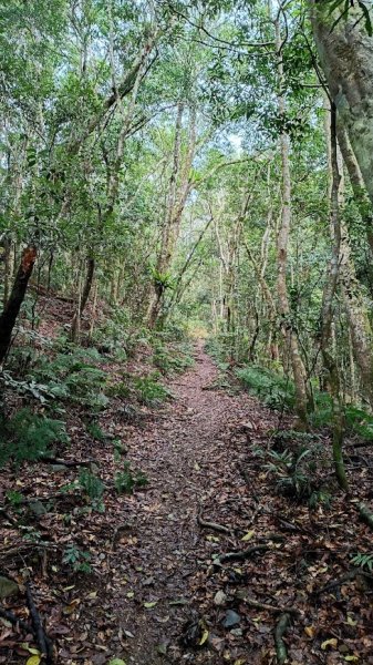 2025 12/27 鳴海山2970992