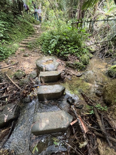 [微笑山線_第十二段] 2025_0803 五分山系_嶺腳寮山2851322