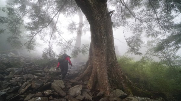 玉山前峰1079905