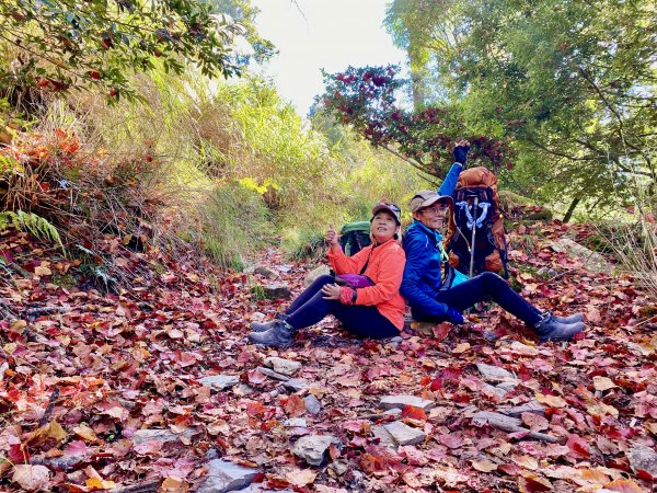 小關山海諾南山3日行--一路的霧淞美景D3  2022/1/13封面