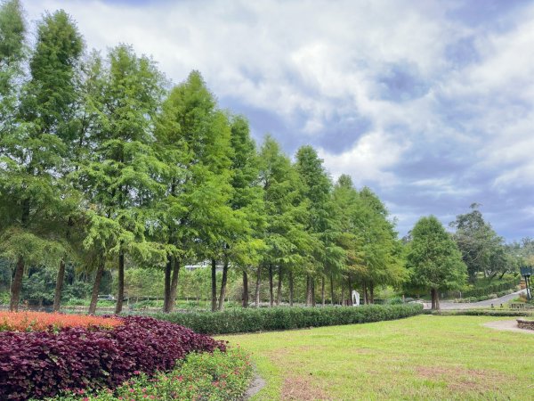 🚴 🐢🐢🐢🚵日月潭環湖咖搭車漫遊2895612