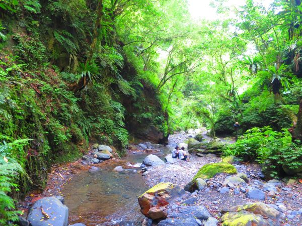 【宜蘭礁溪】清涼一夏：林美石磐步道389877