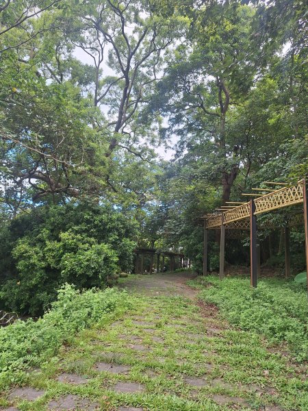三義挑炭古道(三通嶺古道)11508233115429
