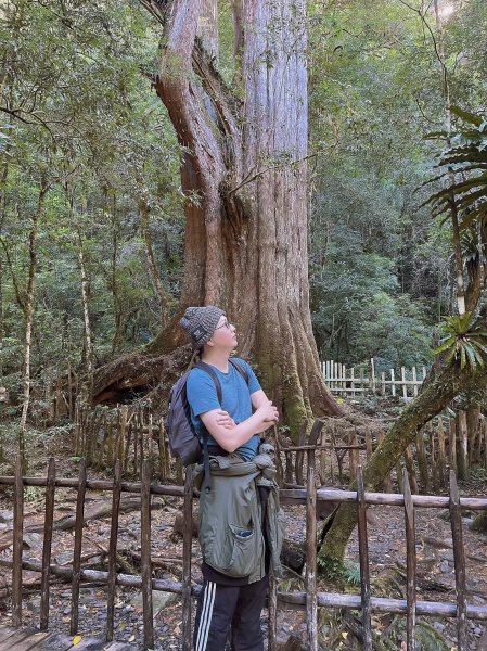 中級山-司馬庫斯2888946